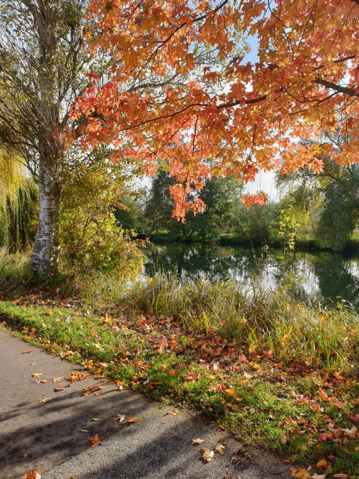 Maison De Charme Avec Jardin Au Bord De L'eure Le Vaudreuil